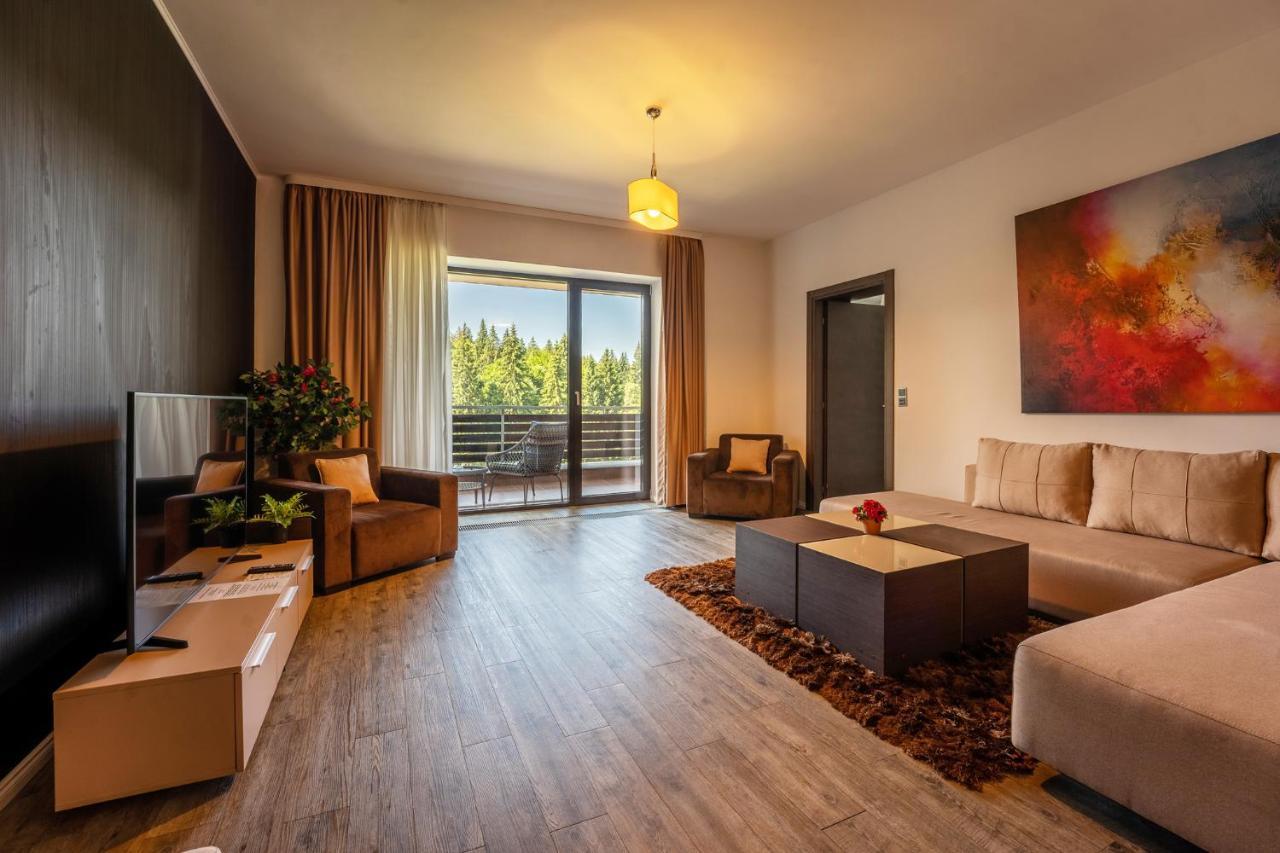 Silver Mountain - Ana'S Apartments Poiana Braşov Dış mekan fotoğraf