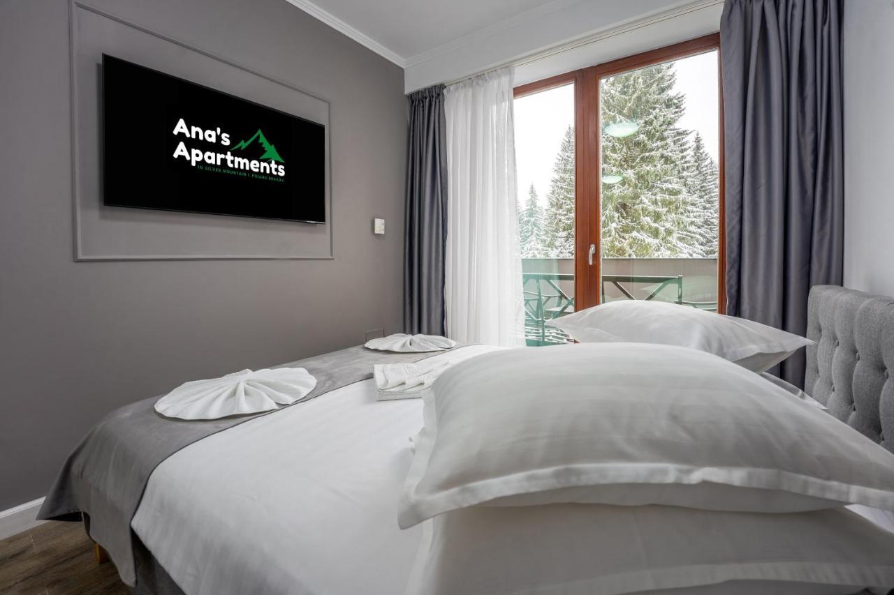 Silver Mountain - Ana'S Apartments Poiana Braşov Dış mekan fotoğraf